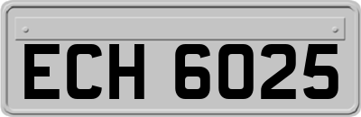 ECH6025