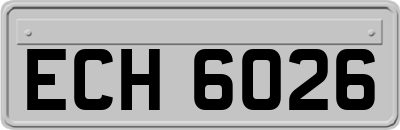ECH6026
