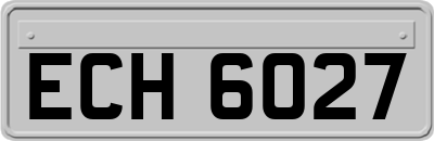 ECH6027
