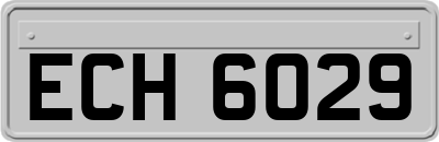 ECH6029