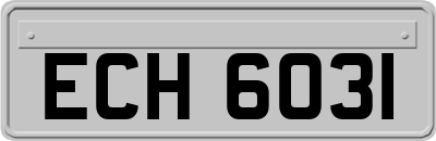 ECH6031