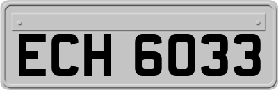 ECH6033