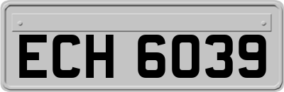 ECH6039