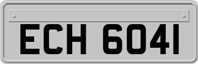 ECH6041
