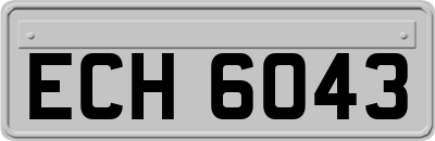 ECH6043