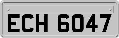 ECH6047