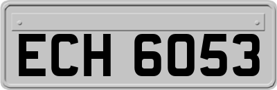 ECH6053