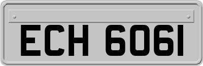 ECH6061
