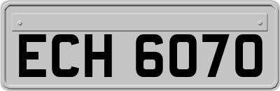 ECH6070