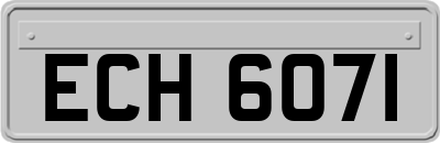ECH6071