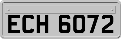 ECH6072