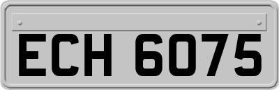 ECH6075