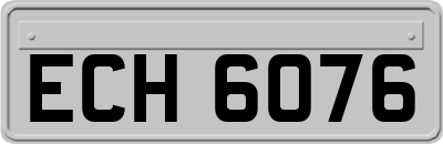 ECH6076