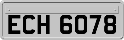 ECH6078