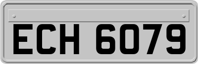 ECH6079
