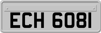 ECH6081