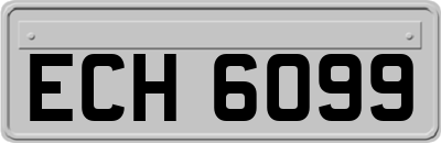 ECH6099