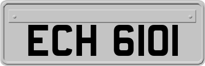 ECH6101