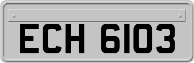 ECH6103