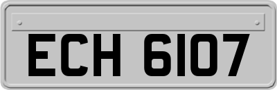 ECH6107