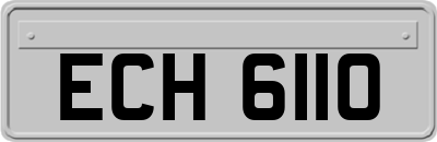 ECH6110