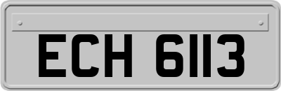 ECH6113