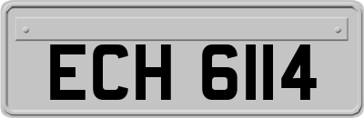 ECH6114