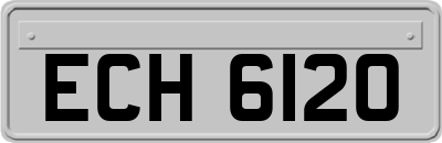 ECH6120