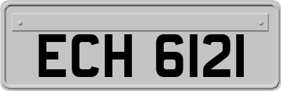 ECH6121