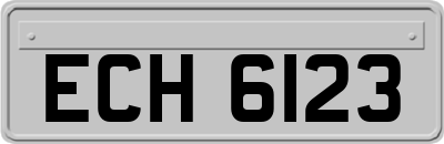 ECH6123