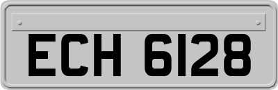 ECH6128