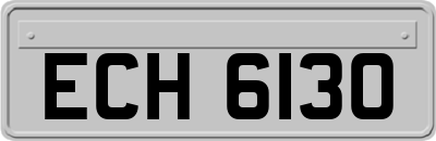 ECH6130