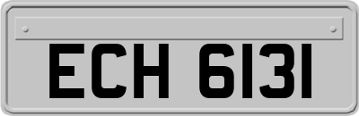 ECH6131