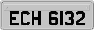 ECH6132