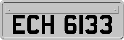 ECH6133