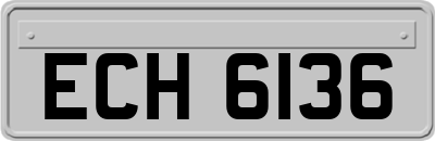 ECH6136