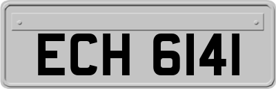 ECH6141