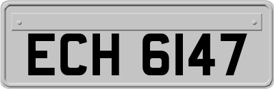 ECH6147