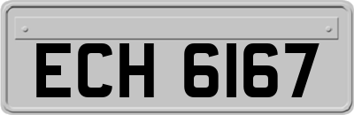 ECH6167