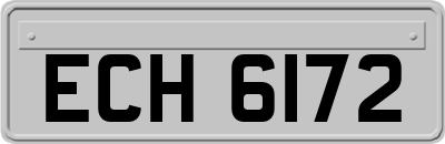 ECH6172