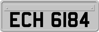 ECH6184
