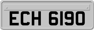 ECH6190