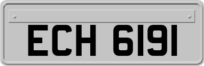 ECH6191