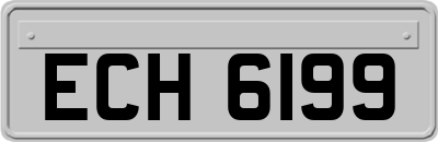 ECH6199