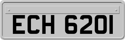 ECH6201