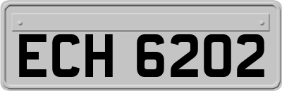 ECH6202