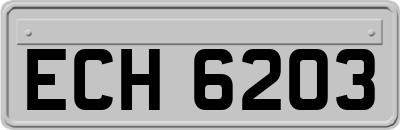 ECH6203