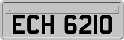 ECH6210