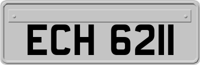 ECH6211