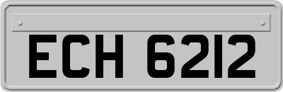 ECH6212